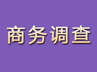 集宁商务调查